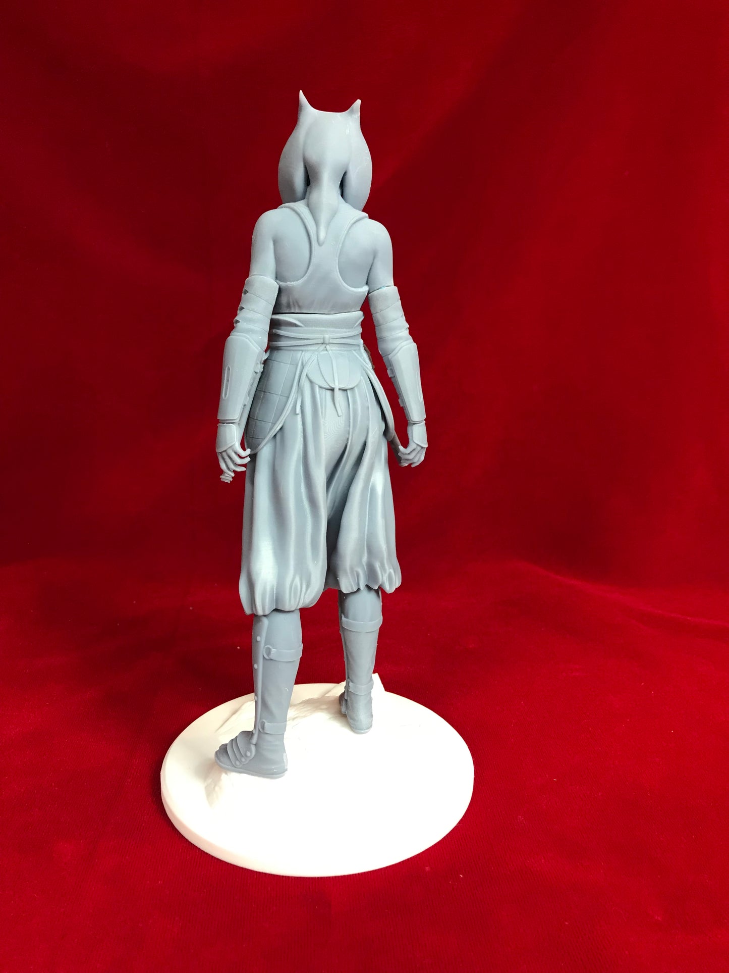 Star Wars - Ashoka Tano - Resin Printed Model Kit